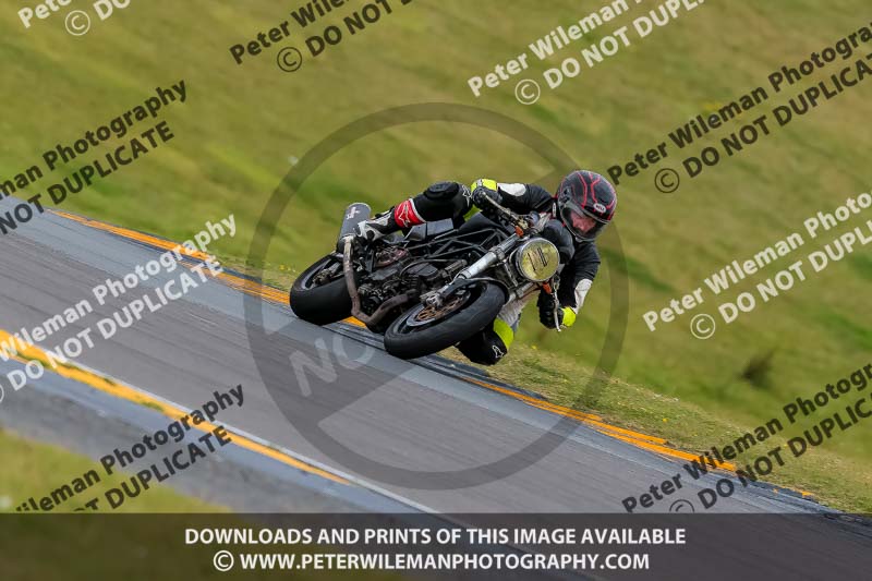 PJ Motorsport 2019;anglesey no limits trackday;anglesey photographs;anglesey trackday photographs;enduro digital images;event digital images;eventdigitalimages;no limits trackdays;peter wileman photography;racing digital images;trac mon;trackday digital images;trackday photos;ty croes